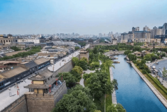 】：20组所三甲病