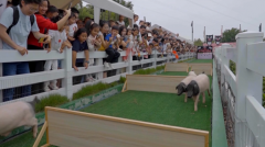 自2021年国度学问产