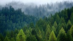 小品牌的供应链压